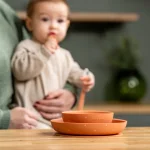 Силиконов комплект за хранене Nattou Terracotta 3 части